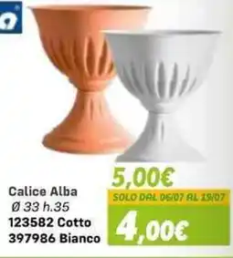 Orizzonte Calice Alba offerta