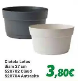 Orizzonte Ciotola Lotus offerta