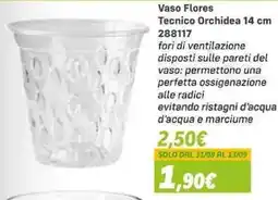 Orizzonte Vaso Flores Tecnico Orchidea offerta