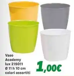 Orizzonte Vaso Academy offerta