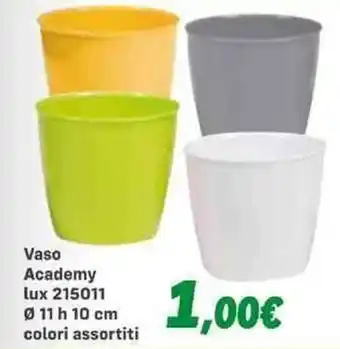 Vaso Academy