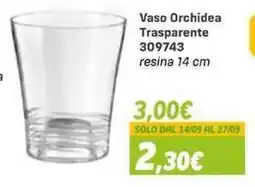 Orizzonte Vaso Orchidea Trasparente offerta