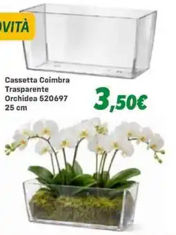 Orizzonte Cassetta Coimbra Trasparente Orchidea 520697 offerta