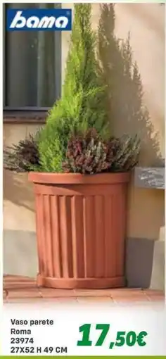 Orizzonte bama Vaso parete Roma offerta