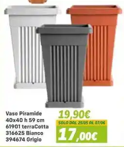 Orizzonte Vaso Piramide offerta