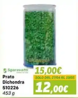 Orizzonte Sgaravatti Prato Dichondra offerta