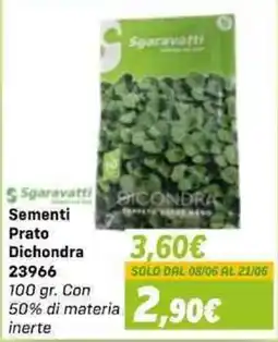 Orizzonte Sgaravatti Sementi Prato Dichondra offerta