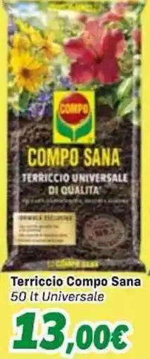 Orizzonte Terriccio Compo Sana offerta