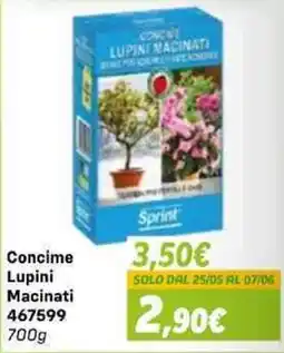 Orizzonte Concime Lupini Macinati Sprint offerta