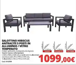 Brico Io SALOTTINO HIBISCUS ANTRACITE offerta