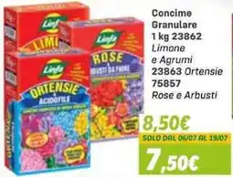 Orizzonte Concime Granulare Linfa offerta