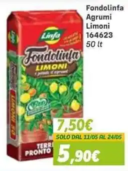 Orizzonte Fondolinfà Limoni offerta