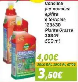 Orizzonte Piante Grasse offerta