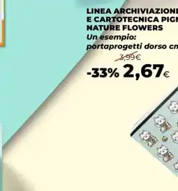 Extracoop NATURE FLOWERS portaprogetti dorso cn offerta
