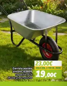 Orizzonte Carriola acciaio zincato offerta