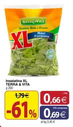 Docks Cash&Carry Insalatina xl terra & vita offerta