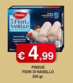 Orsini Market Findus Fiori di Nasello offerta