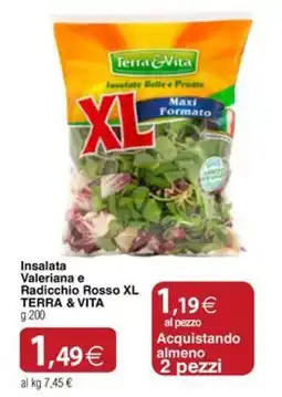 Docks Cash&Carry Insalata Valeriana e Radicchio Rosso XL TERRA & VITA offerta