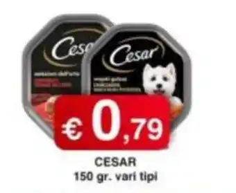 Orsini Market CESAR offerta