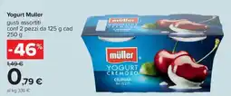 Carrefour Iper Yogurt Muller offerta