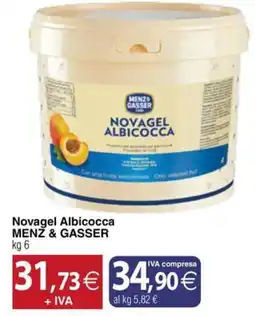 Docks Cash&Carry Novagel Albicocca MENZ & GASSER offerta