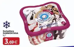 Docks Cash&Carry Sorbettiera SAMMONTANA offerta