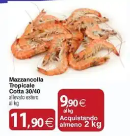 Docks Cash&Carry Mazzancolla Tropicale Cotta 30/40 offerta