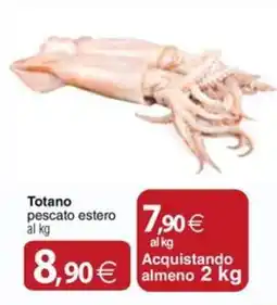 Docks Cash&Carry Totano pescato estero offerta