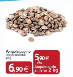 Docks Cash&Carry Vongola Lupino offerta