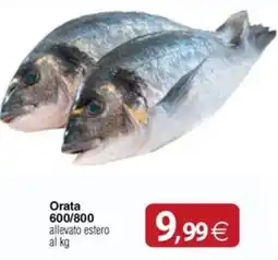 Docks Cash&Carry Orata offerta