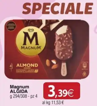 Docks Cash&Carry Magnum ALGIDA offerta