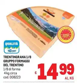 Metro Trentingrana 1/8 offerta