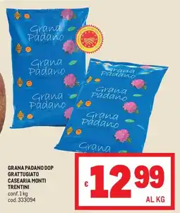 Metro Grana Padano DOP Grattugiato Casearia Monti Trentini offerta