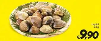 Iper Super Conveniente Lupini offerta