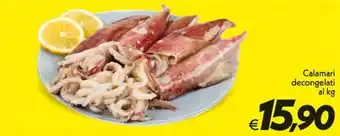 Iper Super Conveniente Calamari decongelati offerta
