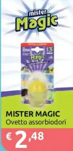 Ipersoap Mister Magic Ovetto assorbiodori offerta