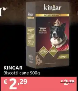 Ipersoap KINGAR Biscotti cane offerta