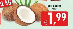 Deco Maxistore Noci di cocco offerta