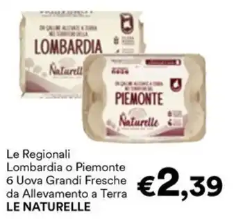 Unes Le Regionali Lombardia o Piemonte 6 Uova Grandi Fresche da Allevamento a Terra LE NATURELLE offerta