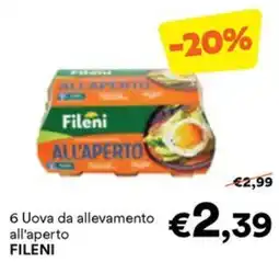 Unes Uova da allevamento all'aperto FILENI offerta