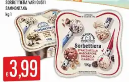 Sisa Sorbettiera Sammontana offerta