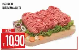 Sisa MACINATO DI BOVINO ADULTO offerta