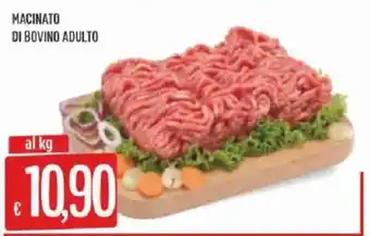 Sisa MACINATO DI BOVINO ADULTO offerta