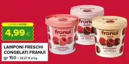 Oasi Lamponi freschi congelati Franui offerta