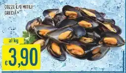 Sisa Cozze e/o mitili Grecia offerta