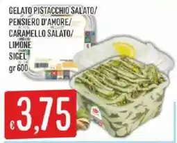 Sisa Gelato Sigel offerta