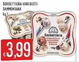 Sisa Sorbettiera Sammontana offerta