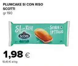 Oasi Plumcake si con riso Scotti offerta