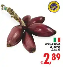 Deco Superstore Cipolla Rossa di Tropea offerta