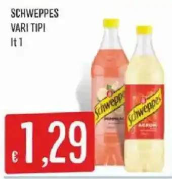 Sisa Schweppes Vari Tipi offerta